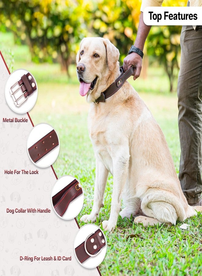 ADIL'S Adil’S Dog Genuine Leather Dog Collar with Strap Handle for Medium Large Dogs, Adjustable Heavy Duty Handle Dog Collar with Double pin Buckle, Neck Size (12 to 26) inches, Brown - Image 5